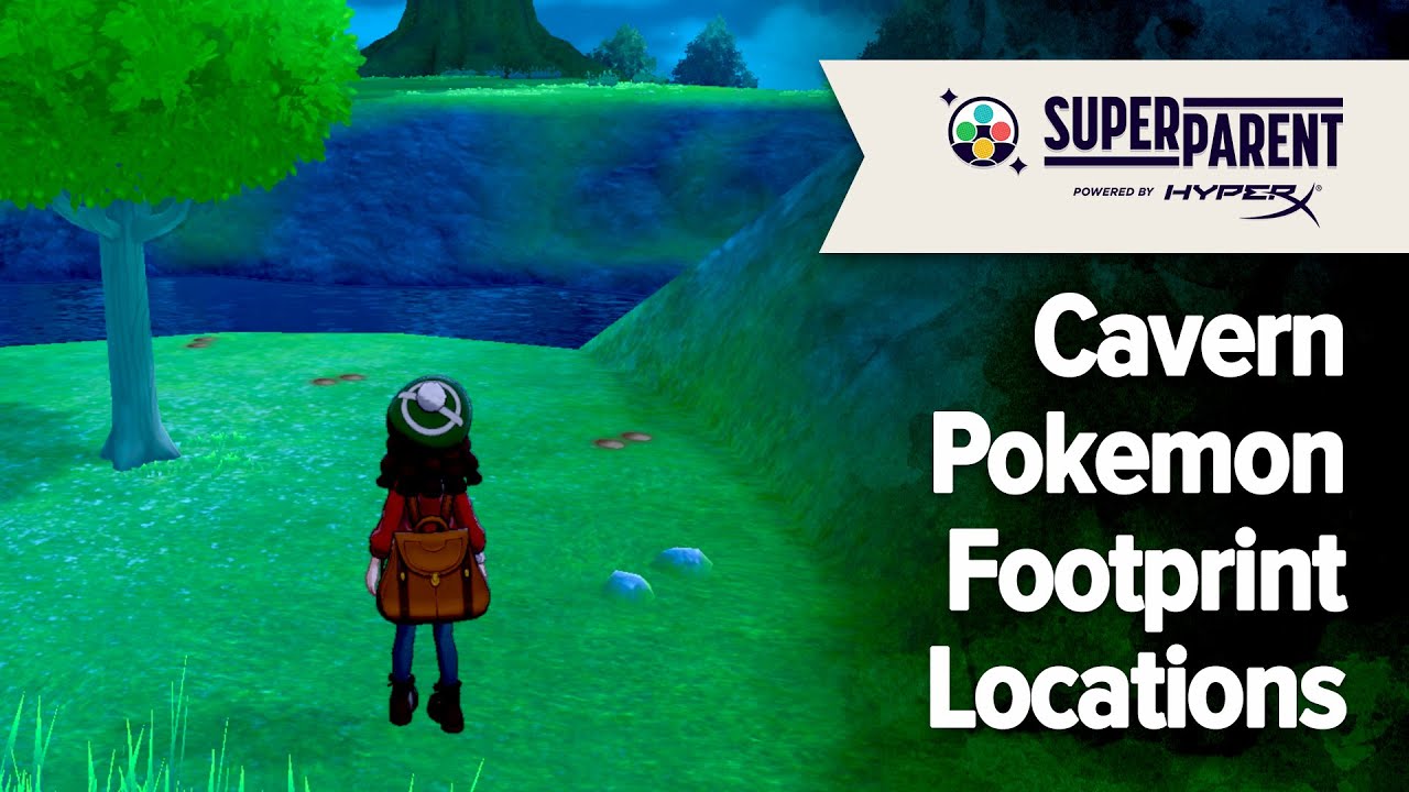 Pokemon Sword and Pokemon Shield - Cavern Pokemon Footprint Locations (The Crown Tundra)