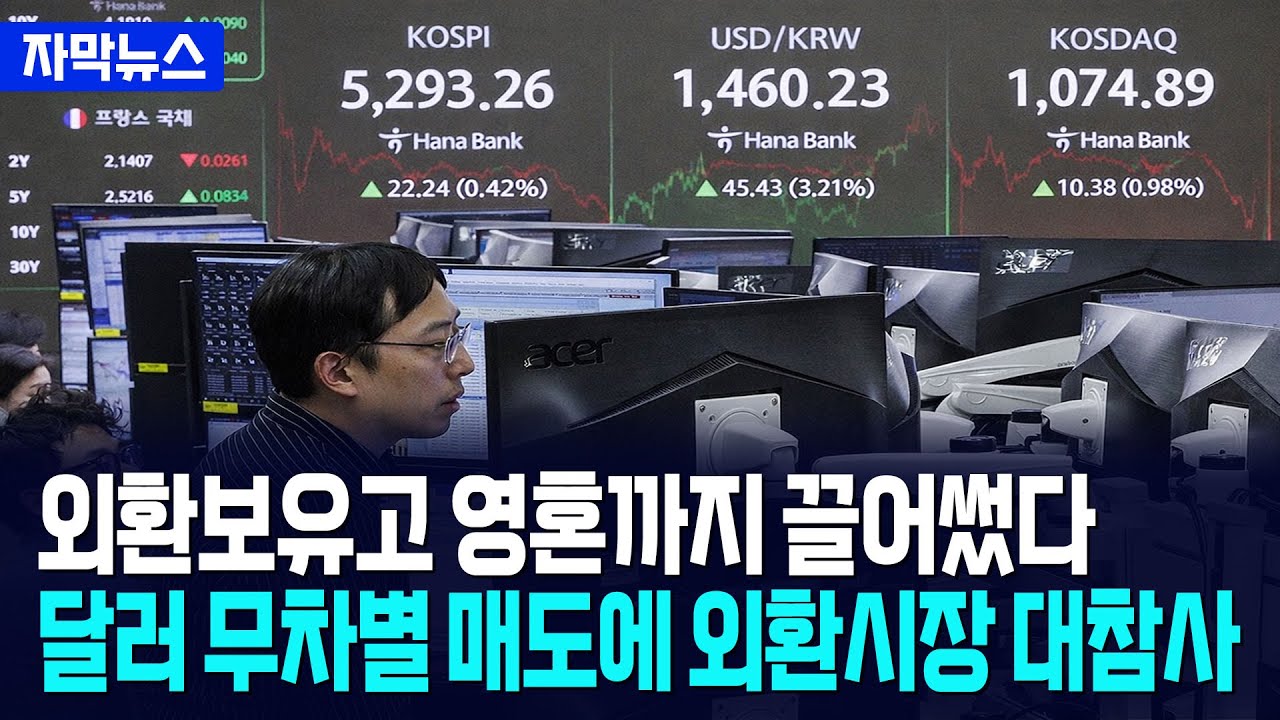 [자막뉴스] 환율 방어에 외환보유고 영혼까지 끌어썼다... 달러 무차별 매도에 비상 / 사건텔러