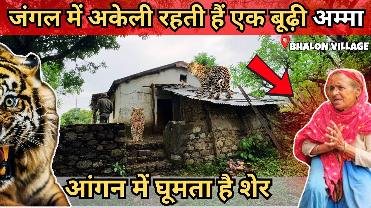जंगल में अकेले रहती बूढ़ी अम्मा की दास्तान| BHALON VILLAGE | CORBETT TALES #villagelife