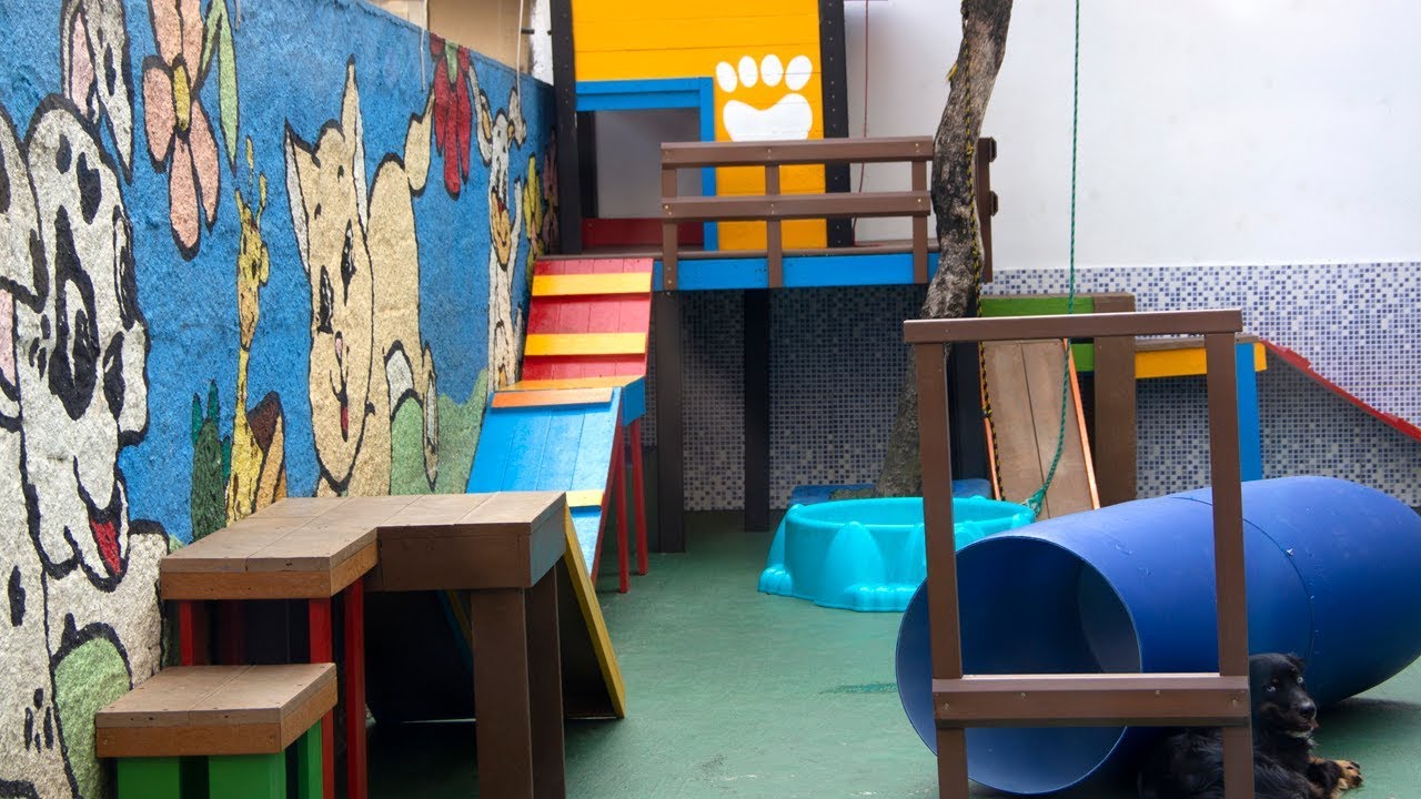 Faça a sua Creche para Cães personalizada 💡✨