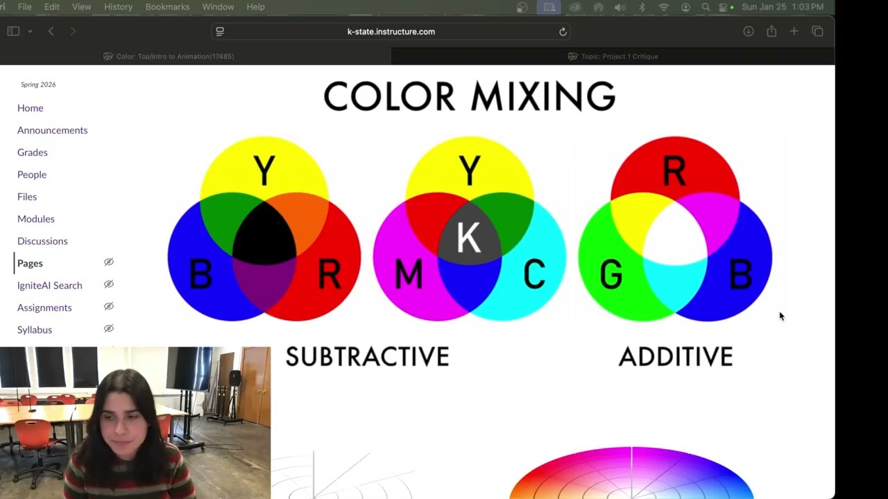 Art 300: Digital Color and Palettes
