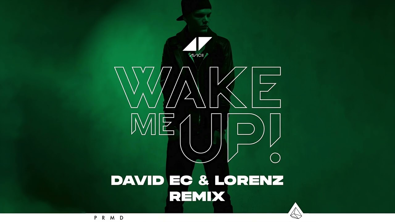 Avicii - Wake Me Up (David Ec & Lorenz Remix)