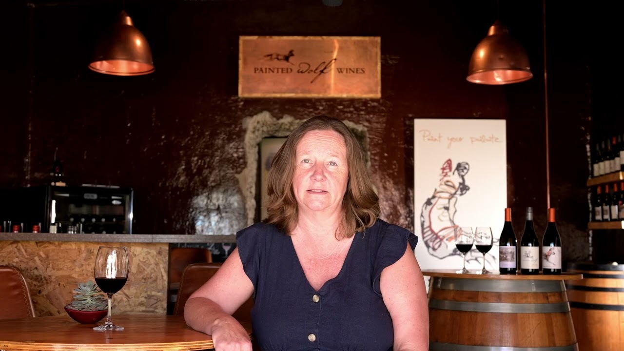 Painted Wolf Wines Introduction Film