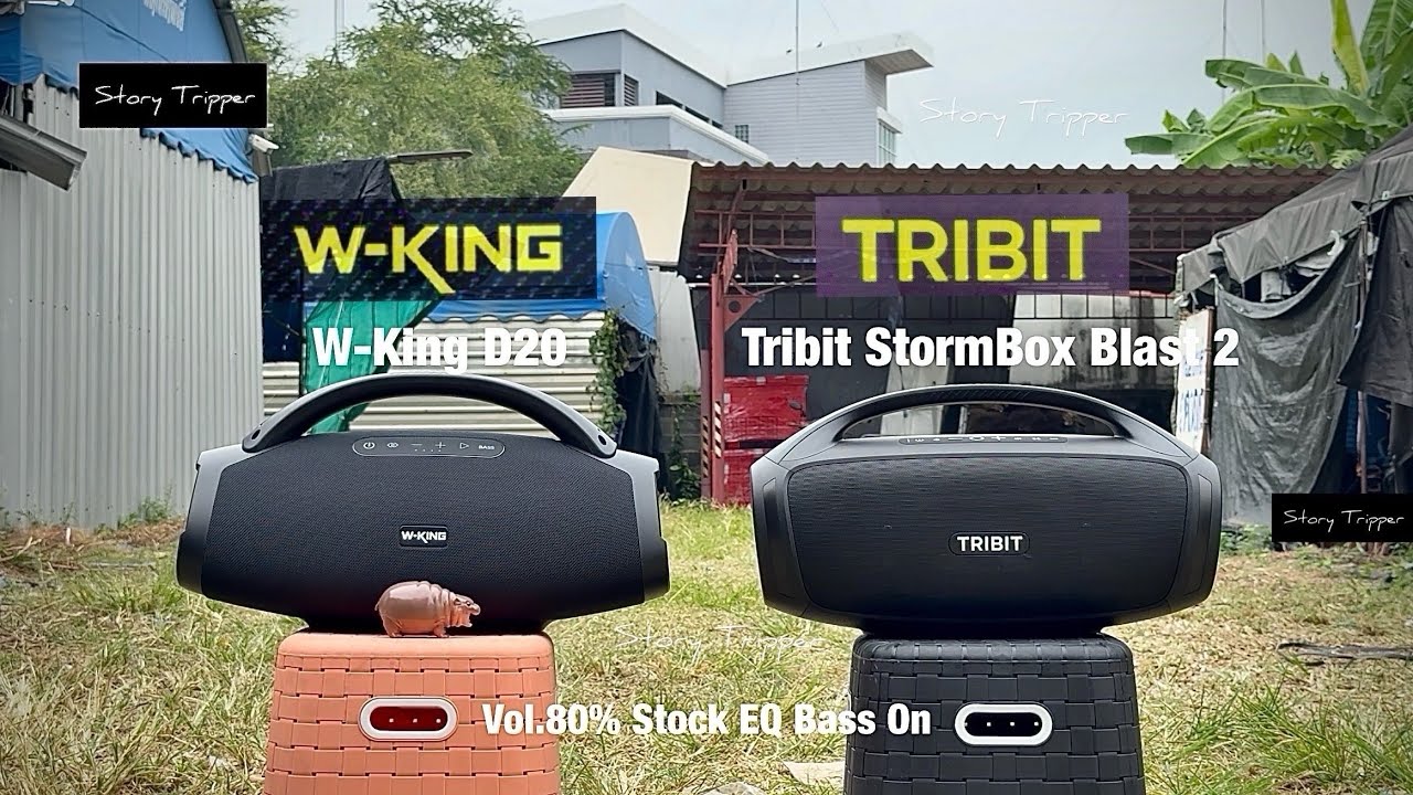 W-King D20 (X20) против Tribit StormBox Blast 2