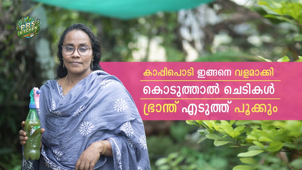 1 സ്പൂൺ കാപ്പിപൊടി മതി ചെടികൾ പൂത്ത് കായ്ക്കാൻ 100% ഉറപ്പ്  | Flower Plant Care Tips | PRS Kitchen