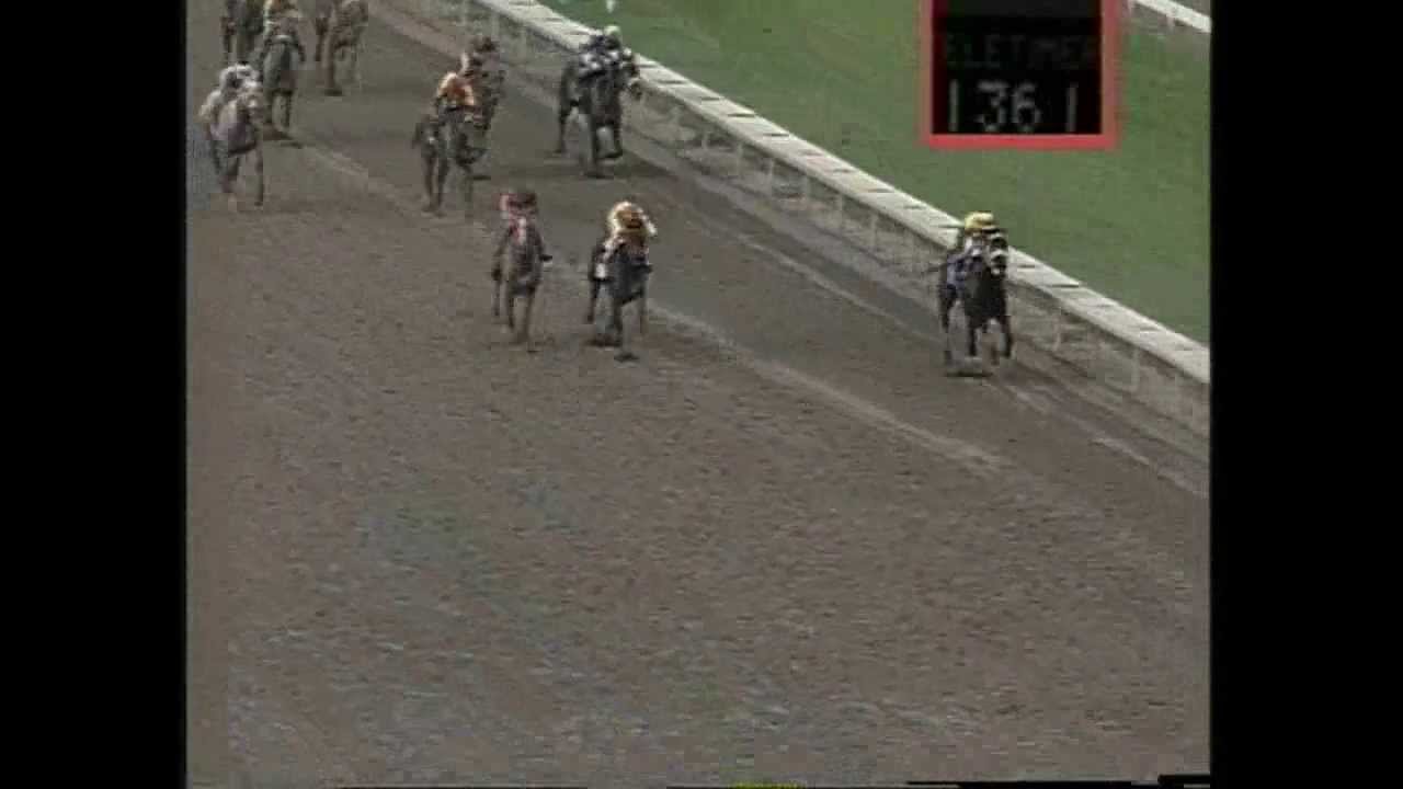 IMBUIA PAJOQUI - Clásico Budweiser 1993