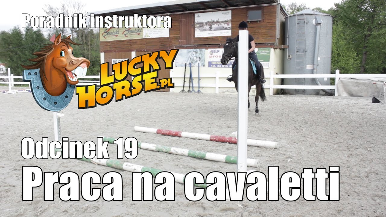 Porady LuckyHorse.pl - Odc19 - Praca na cavaletti
