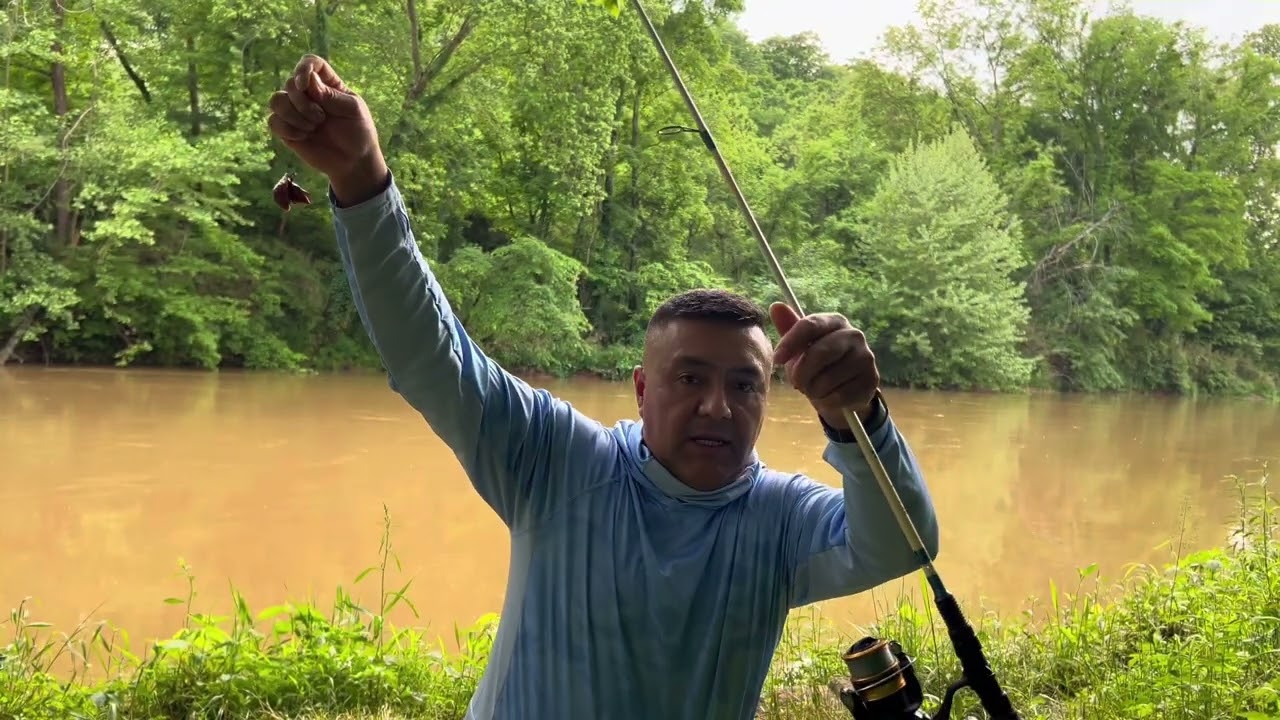 Pesca de bagre con higado de pollo!.