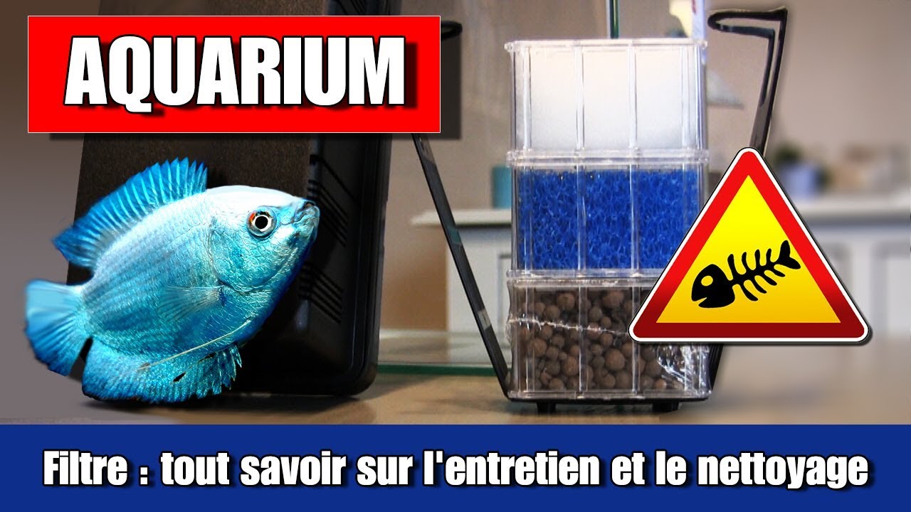 Nettoyer un filtre d'aquarium , comment ça marche -biobox ✔