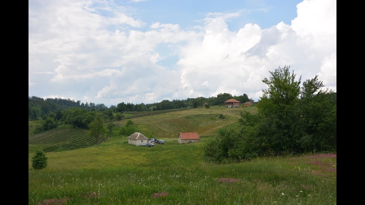 Krov Radjevine, Rozanj planina - Obicaji Radjevine - Dobrivoje i Dobrila Pantelic