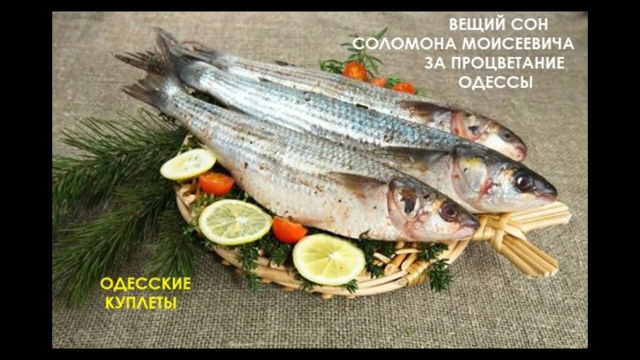Вещий сон Соломона Моисеевича за Одессу #одесса #соломон #odessasong #одесскаяпесня #шансон #ютуб