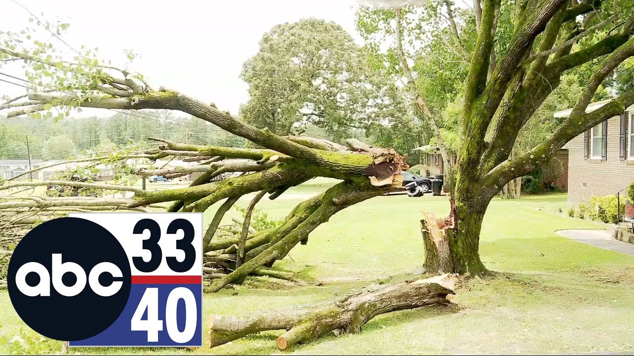 Gadsden battles storm aftermath, cleanup efforts underway