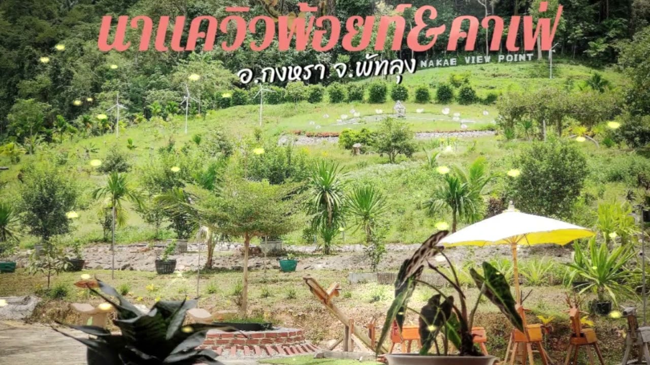 เพลง หลงอยู่ในรูปถ่ายเก่า cover
