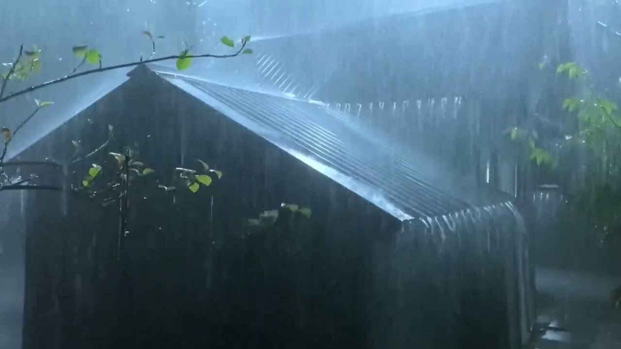 Powerful Rain & Intense Thunder on Farm Tent Roof | Deep Sleep Night Sounds!