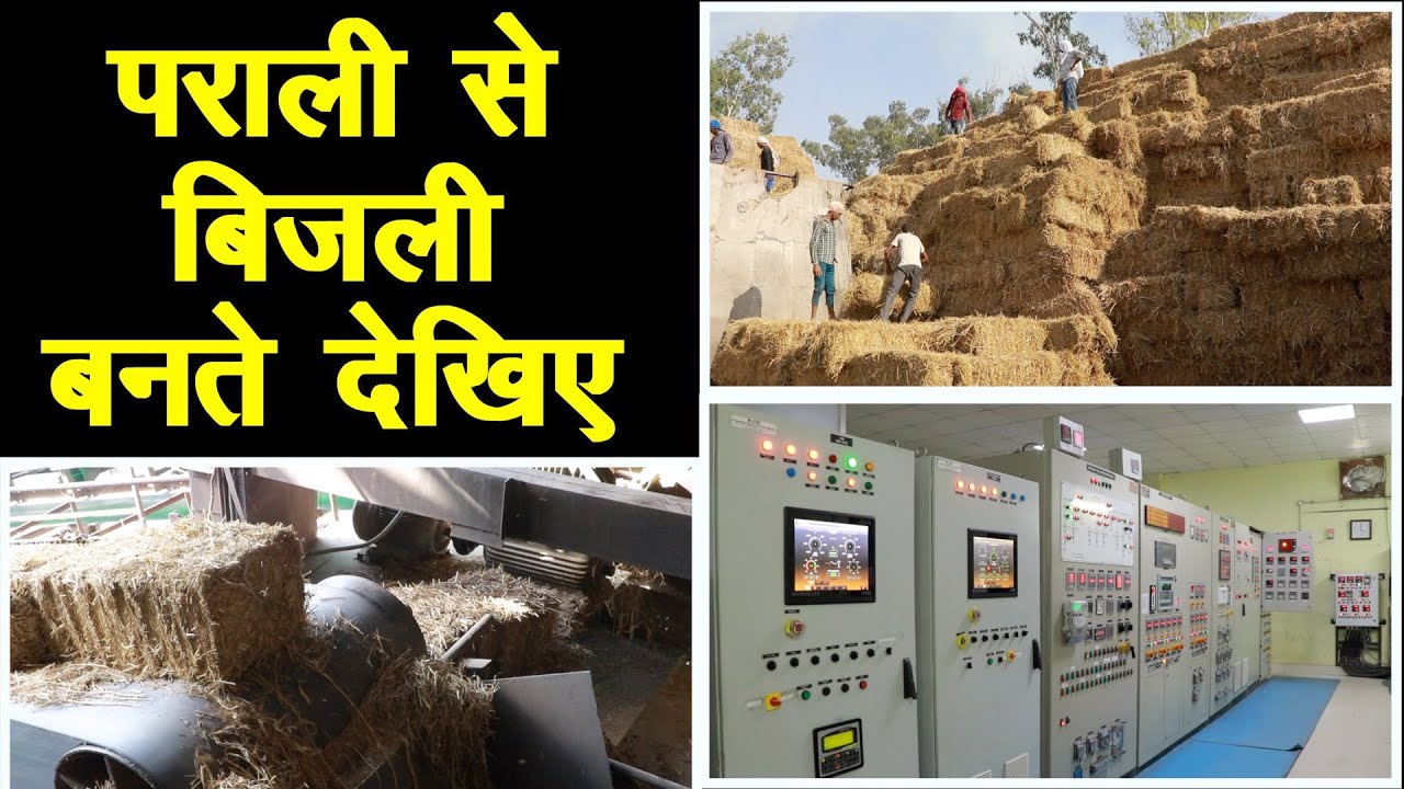 पराली से बिजली बनते देखिए, Electricity By Parali || Technical Farming