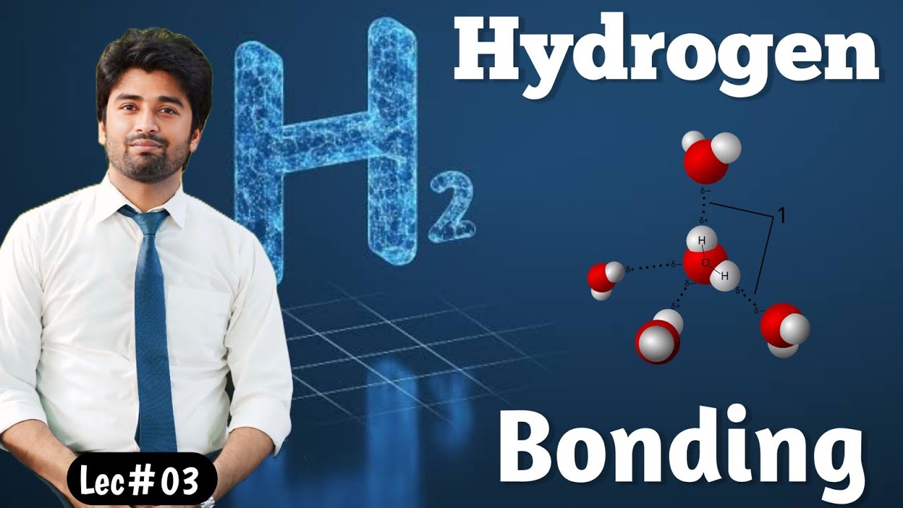 Hydrogen Bonding || Hydrogen Bonding Class 11 Chemistry || Hydrogen Bonding BSc First Year