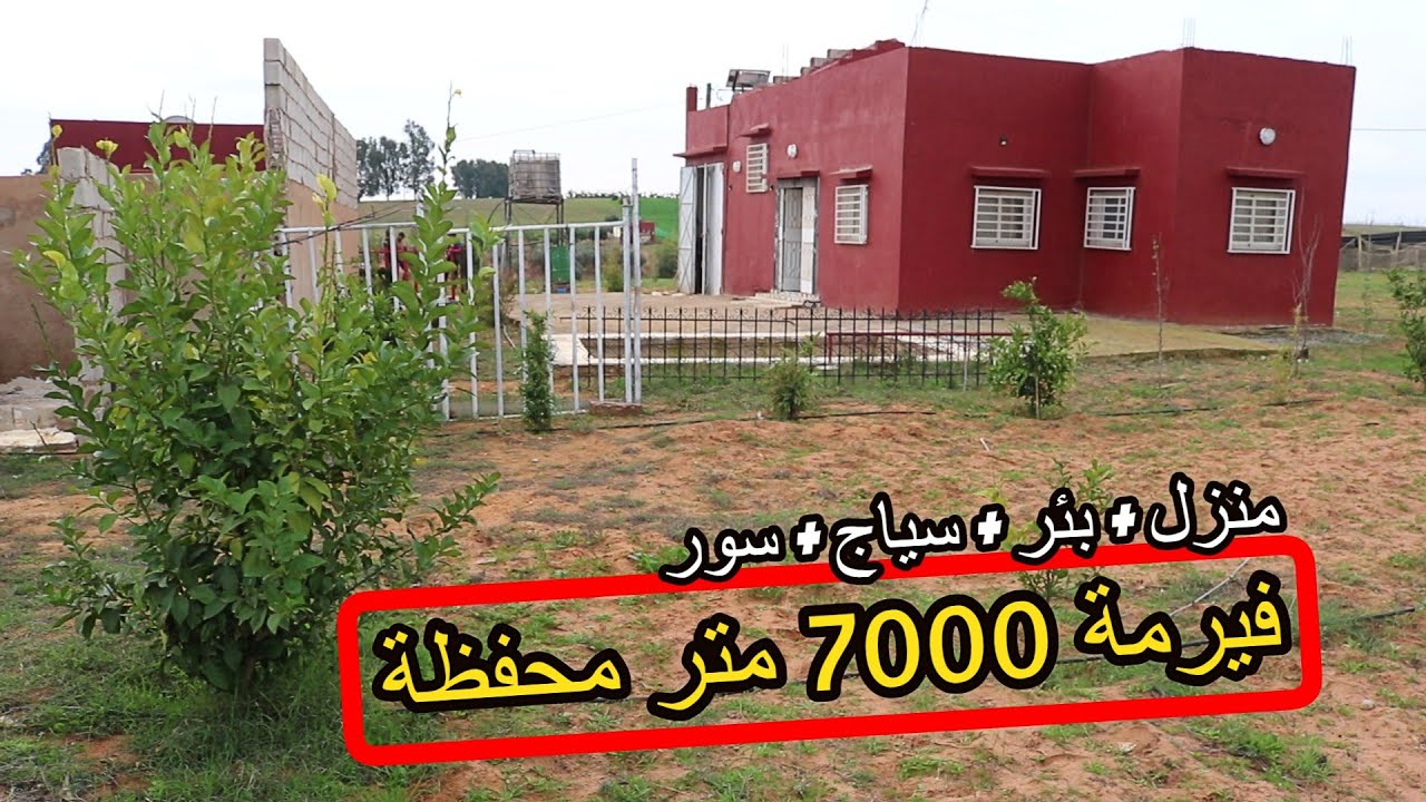 ✨فيرمة صغيرة 7000 متر مجهزة بمنزل و بئر والعديد من الاشجار المثمرة محاطة بالسياج والسور ✨ تيفلت