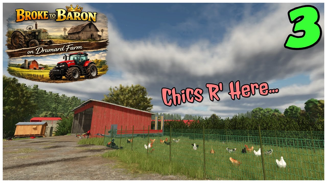 Chics R' here on Drumard Farm in the Broke to Baron Challenge / Ep 3 / FS25