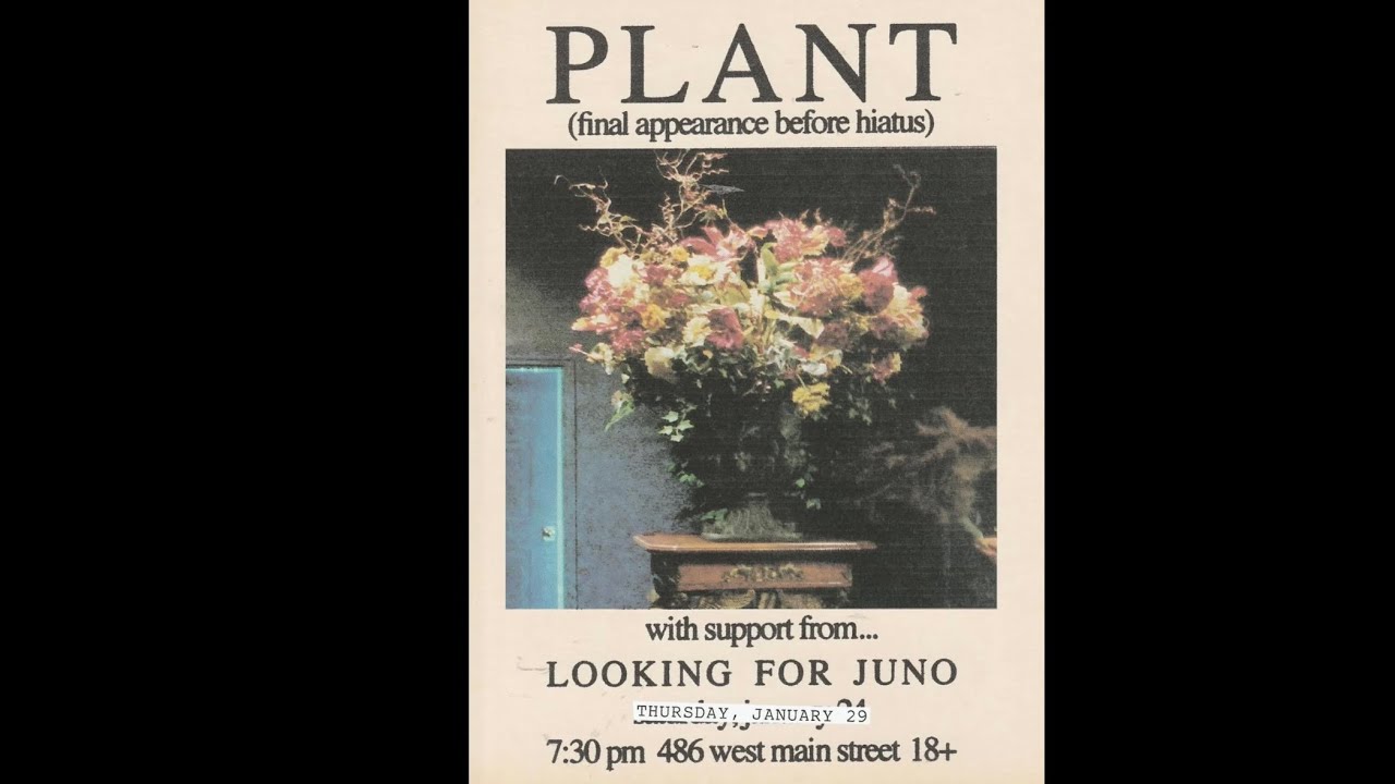 Plant - Live at the Cut Cocktail Lounge (Sylva, NC) - January 29th, 2026