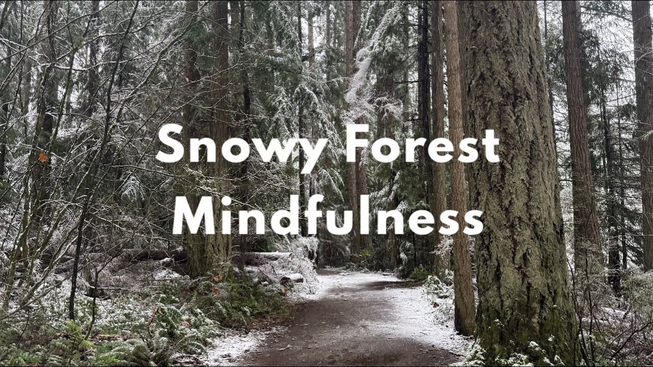 A 3 Minute Snowy Pacific Northwest Forest Mindfulness Practice 