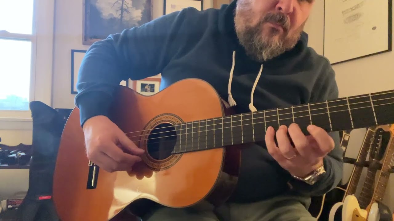 Takamine C134S Classical Guitar