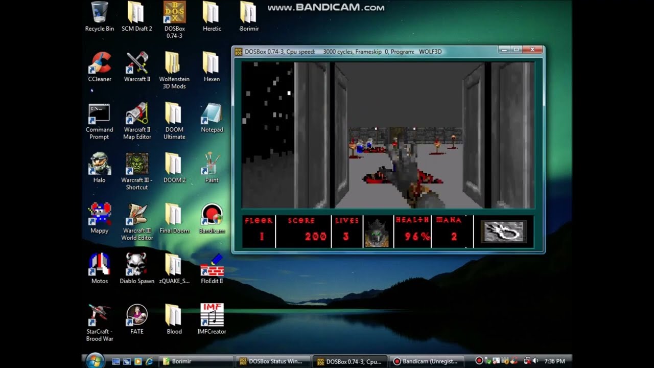 Wolfenstein 3D Borimir Preview