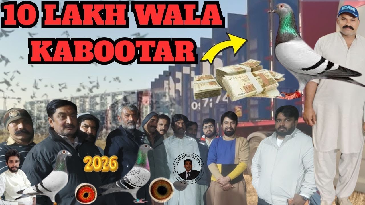 408 Kabootron ki race Mein 10 Lakh Wala Kabootar Be Urra Gaya 😱 Real racing pigeons