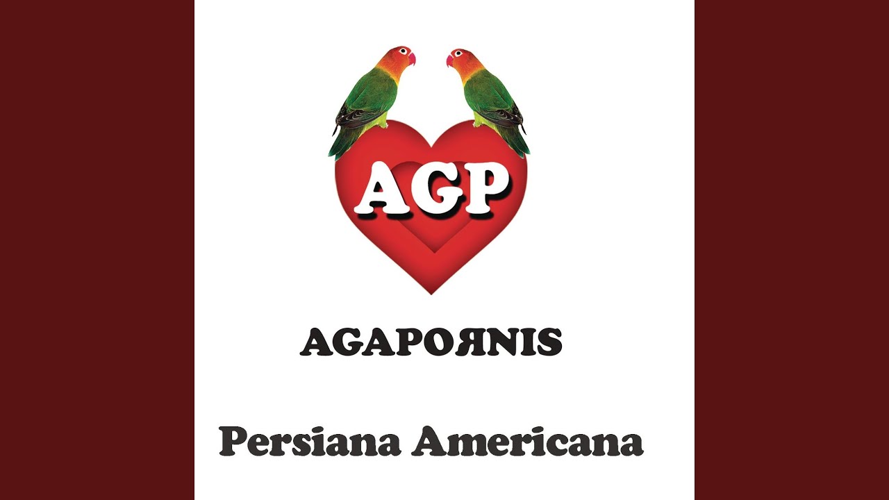 Persiana Americana