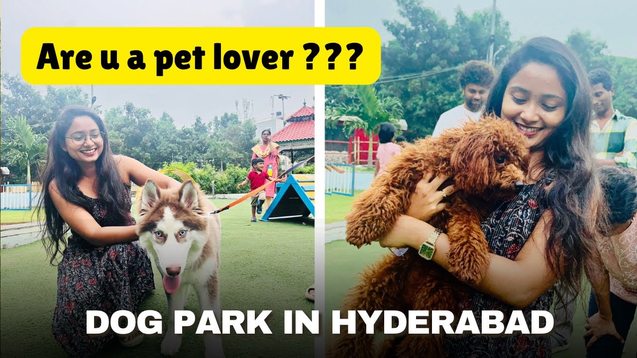 Dog Park in Hyderabad || Must Visit Place in Hyderabad || Gachibowli