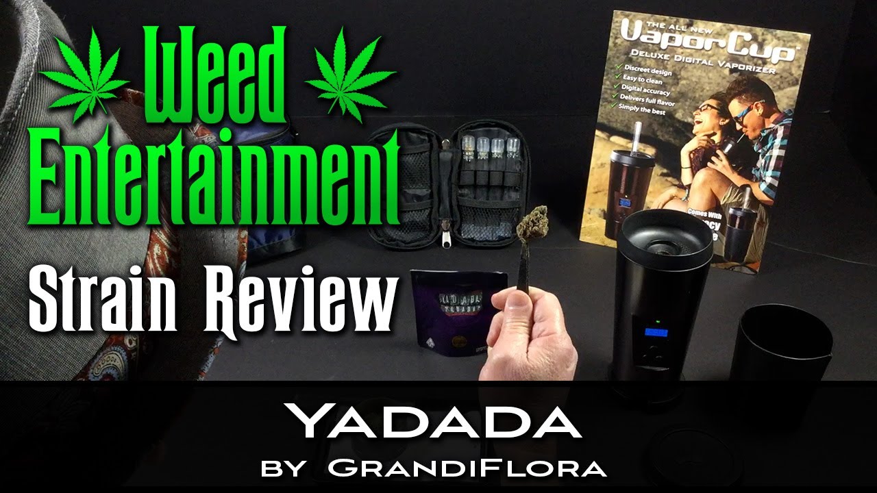 Yadada - Indica - by GrandiFlora Genetics - Strain Review - from Cookies, Maywood, Ca