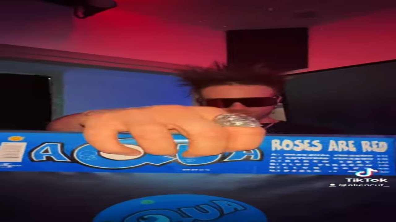 Roses are red (Alien Cut Remix) - Aqua