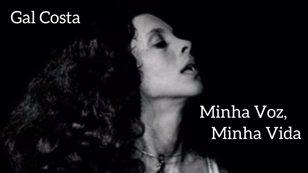 Minha Voz, Minha Vida - Gal Costa