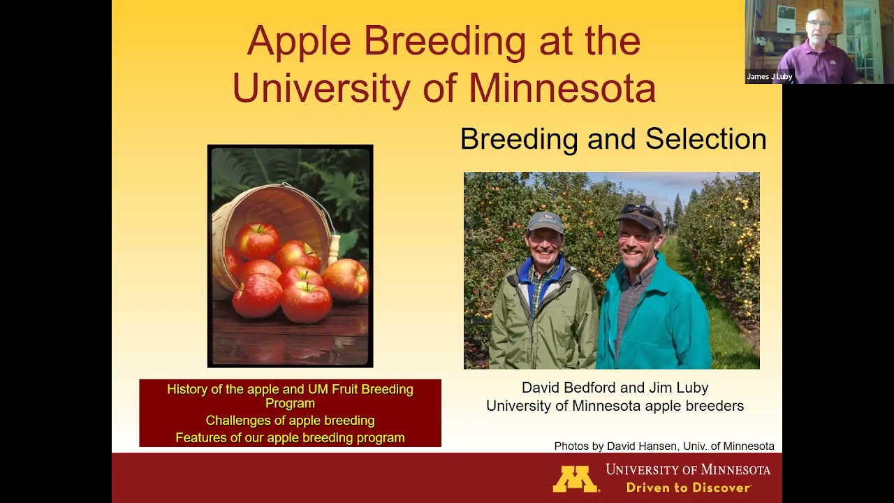 Apple Breeding at the University of Minnesota - Dr. Jim Luby