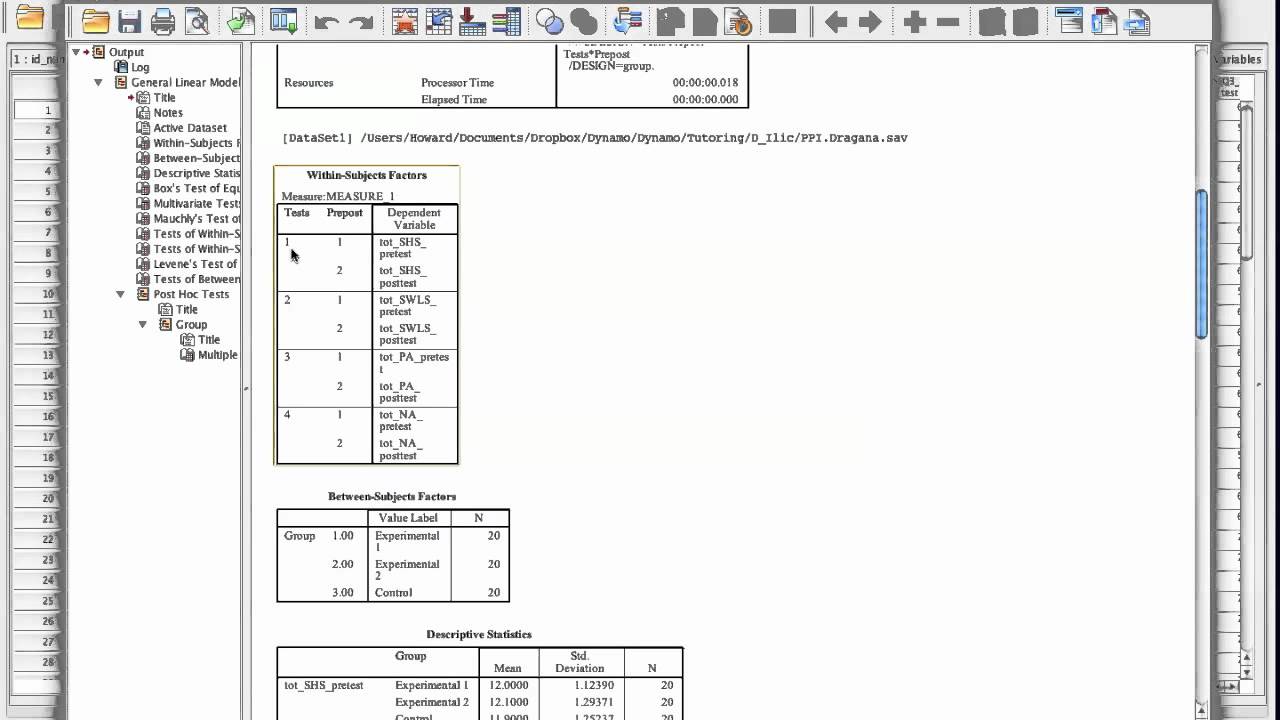SPSS RM MANOVA