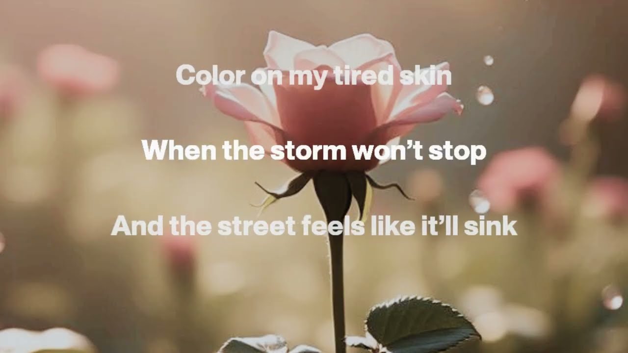 A Rose Between Raindrops