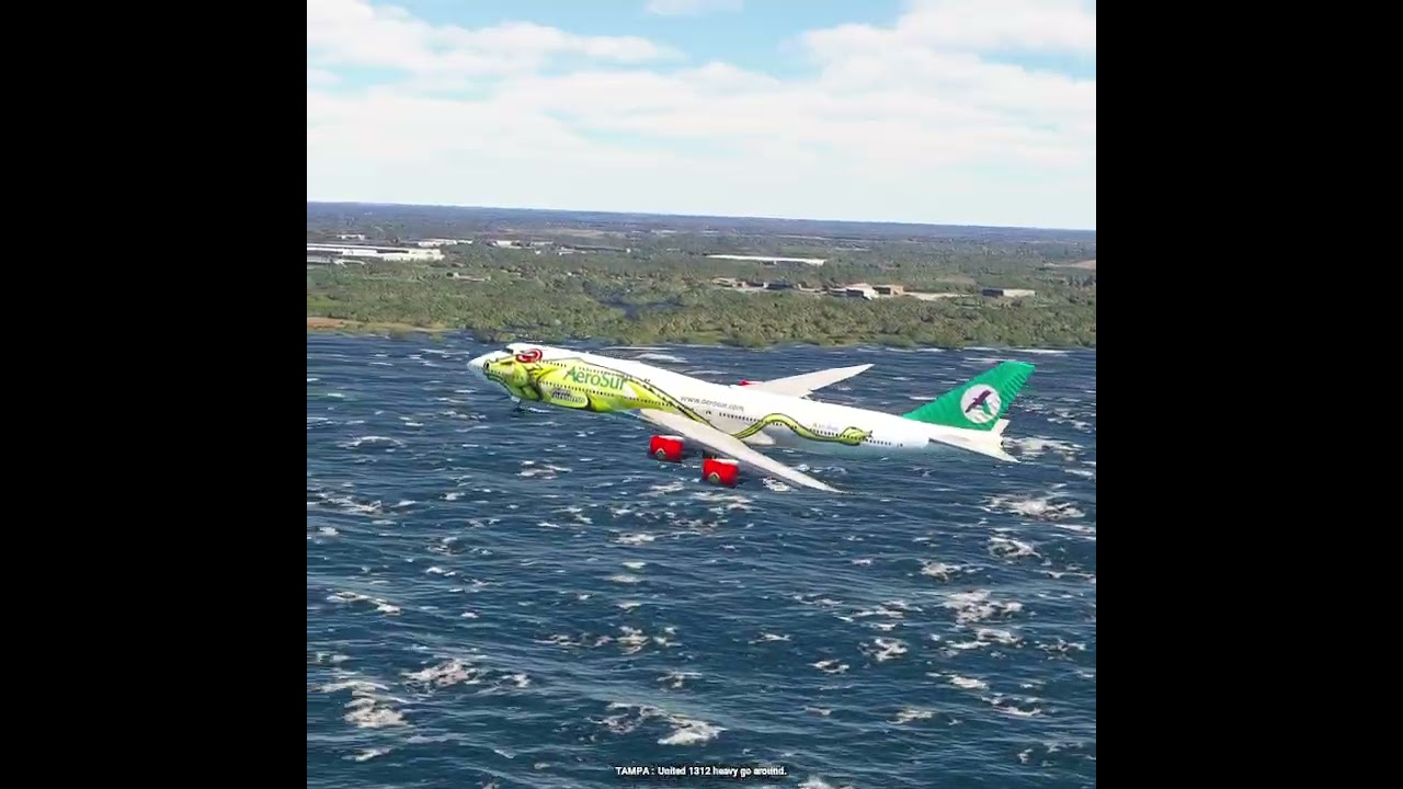 the carelessness of an airplane pilot 0244