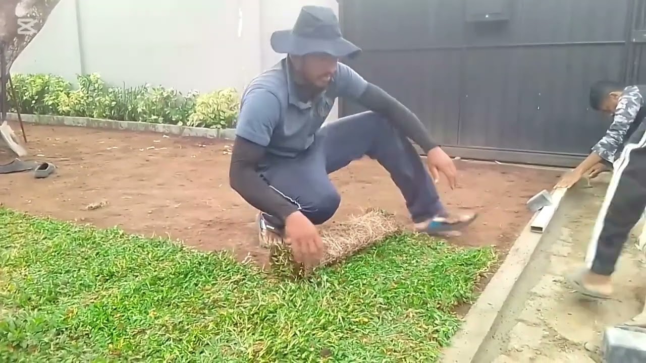 Decorating a garden with grass
