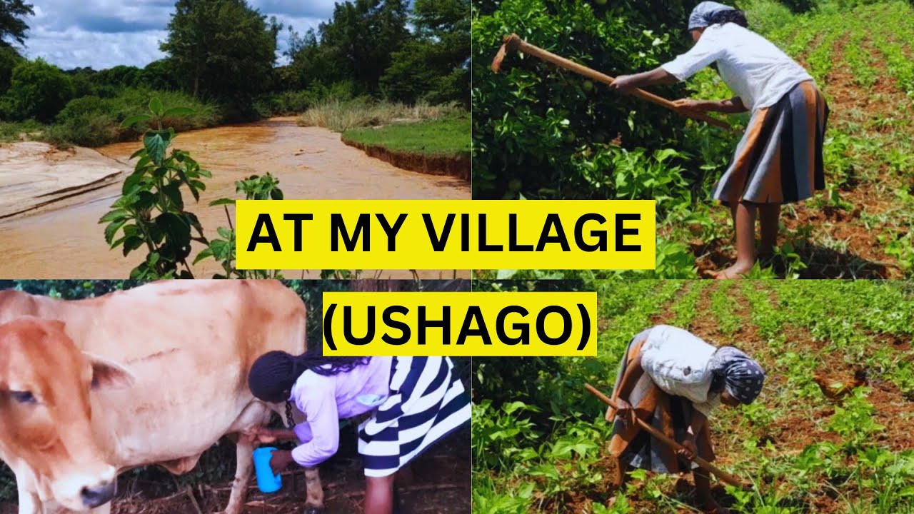 AFRICAN VILLAGE LIFE/ VILLAGE LIFE/A DAY AT MY VILLAGE/AFRICAN LIFE/ AFRICAN VILLAGE LIFE/KALONDU