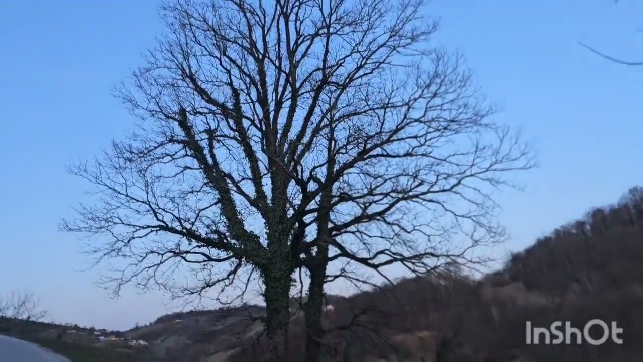 Vejinac-tamo gdje duša diše. ❤️
