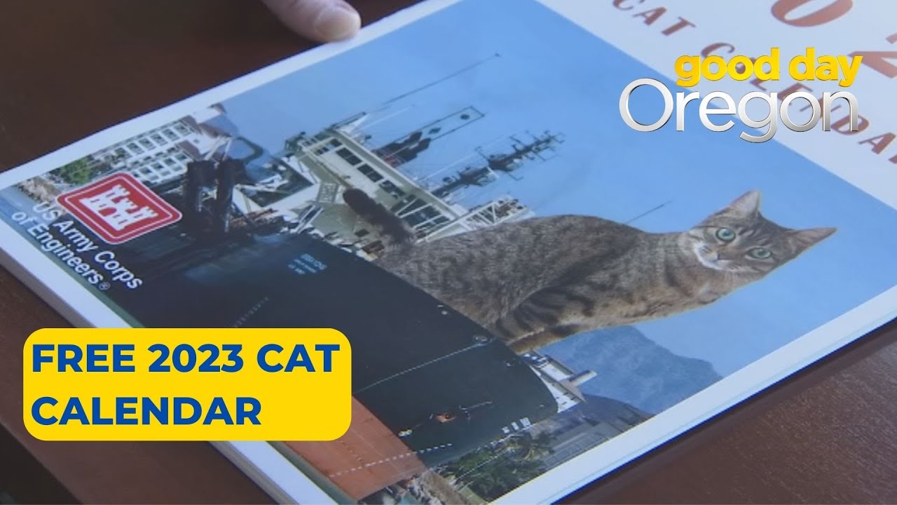 Portland's Army Corps of Engineers 2023 cat calendar is the cat's meow