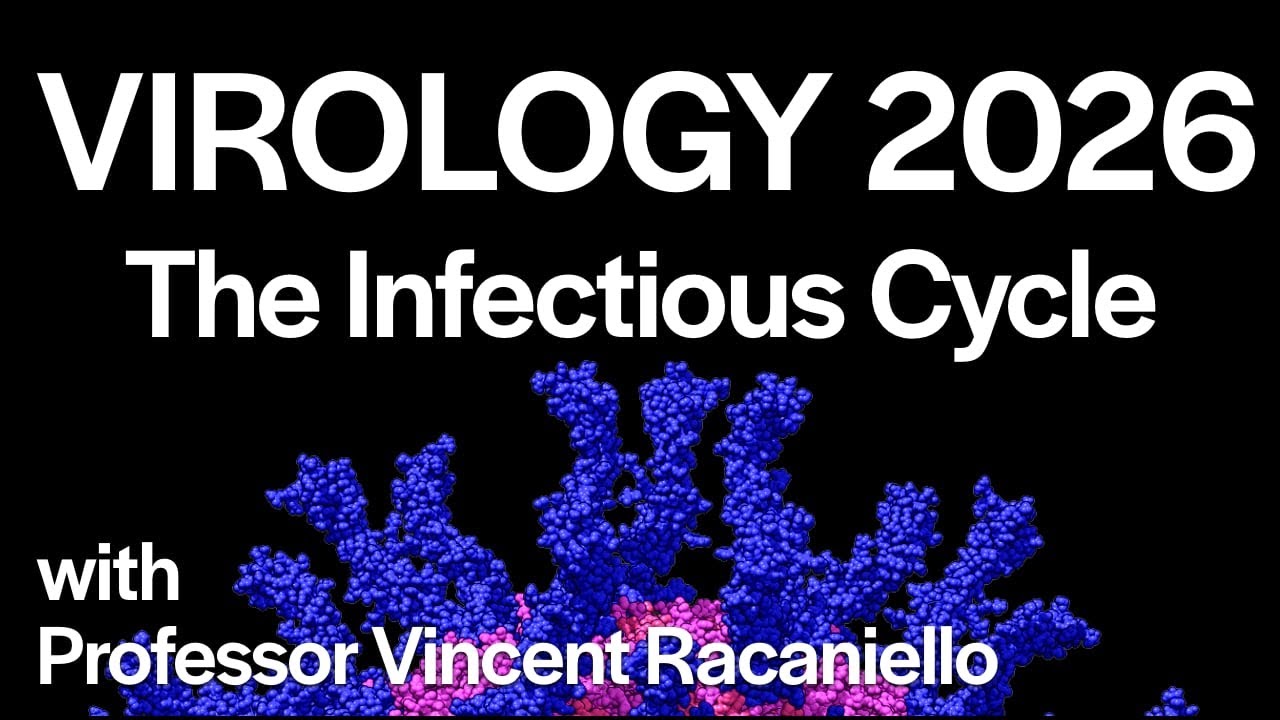 Virology Lectures 2026 #2: The Infectious Cycle