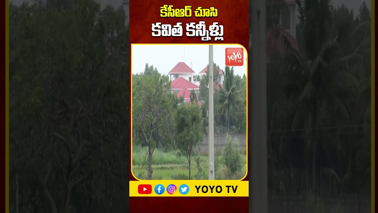 బాపు నేను వస్తా ..MLC Kavitha Meets KCR At Farm House | KCR Kaleshwaram Enquiry | YOYO TV Channel