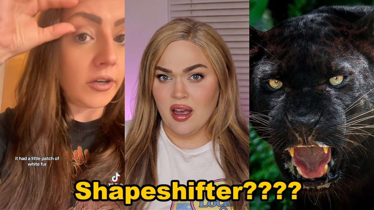 It Looked Like a Panther, Until it SHAPESHIFTED Into Something Else... Scary TikTok Story