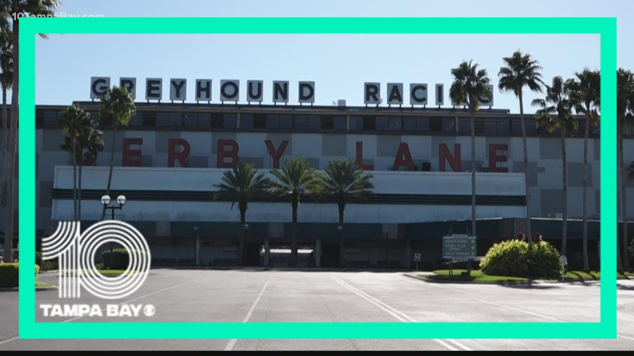 Derby Lane plans grand finale as live greyhound racing comes to an end at iconic track