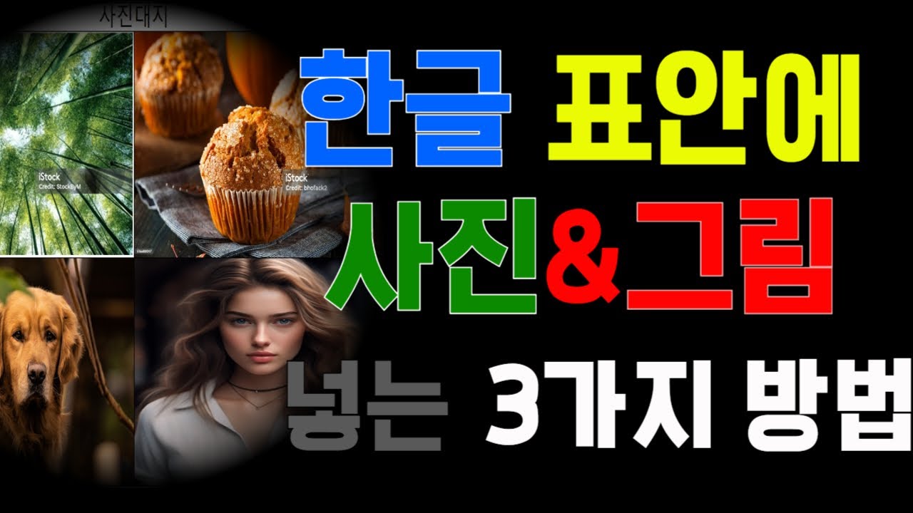한글(한컴오피스) 표 안에 사진이나 그림 넣는 3가지 방법