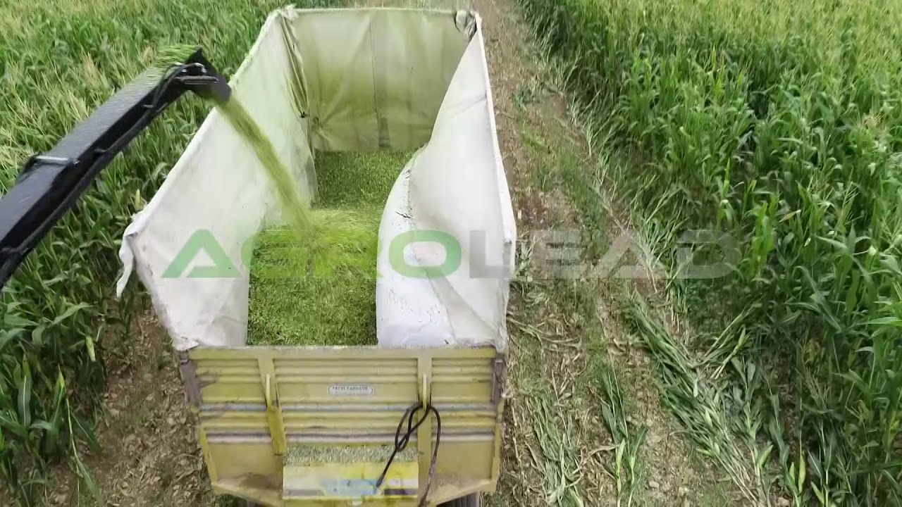 M TWIN - Maize Harvester - AGROLEAD