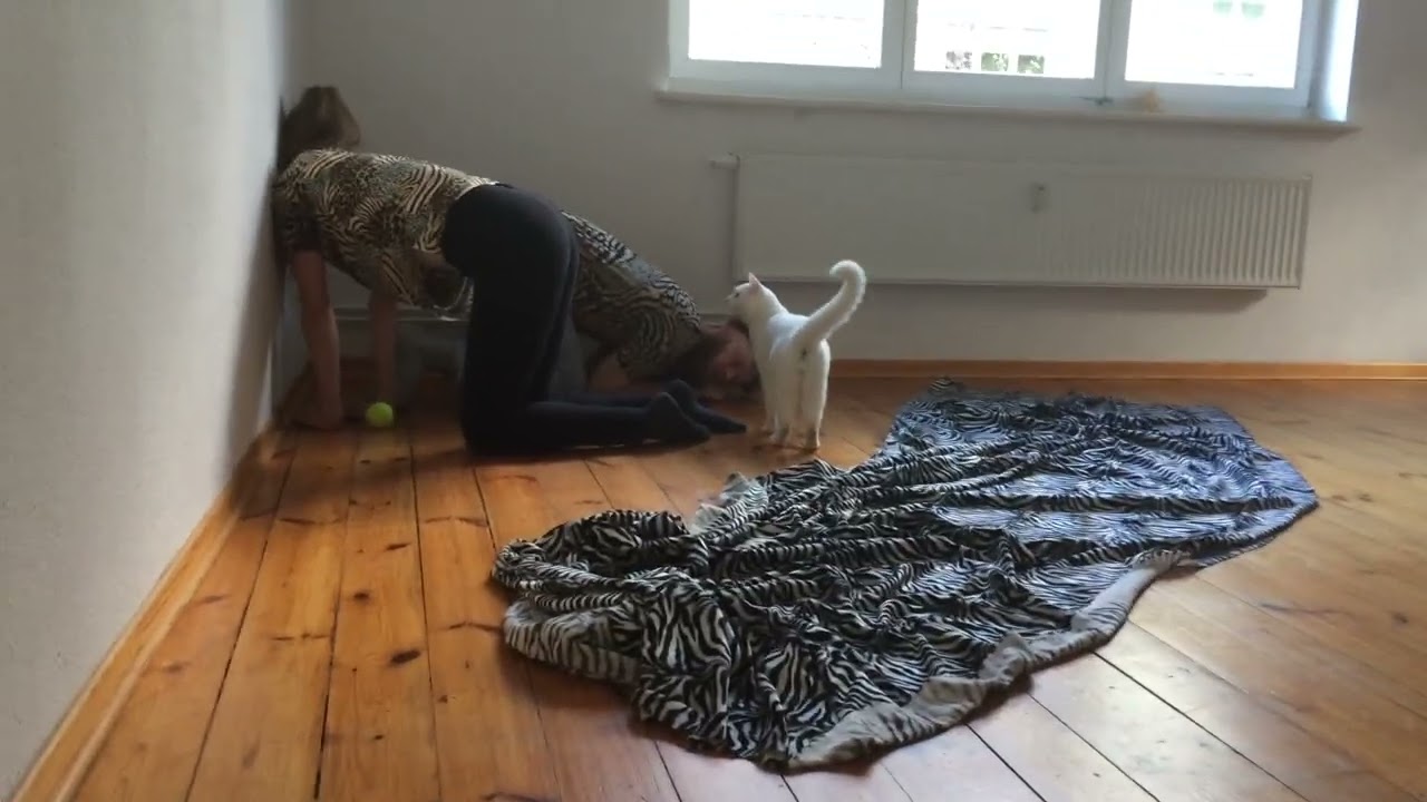 Performances for Pets Compilation