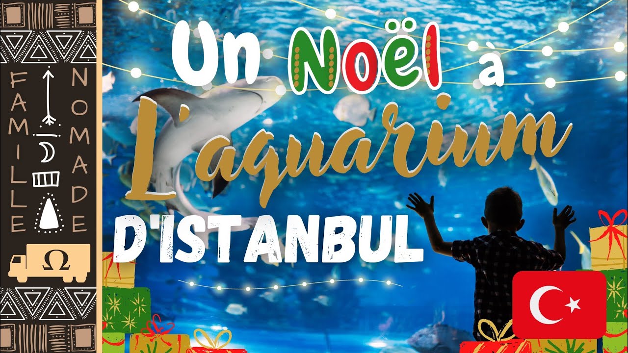 [72] Un Noël🎄 en famille à Istanbul ! #famillenomade #voyage #istanbul