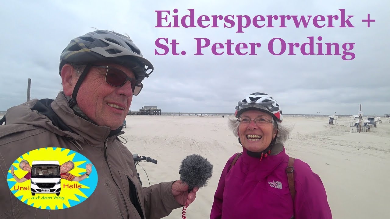 Strand, Wind und Fisch in St. Peter Ording - #116