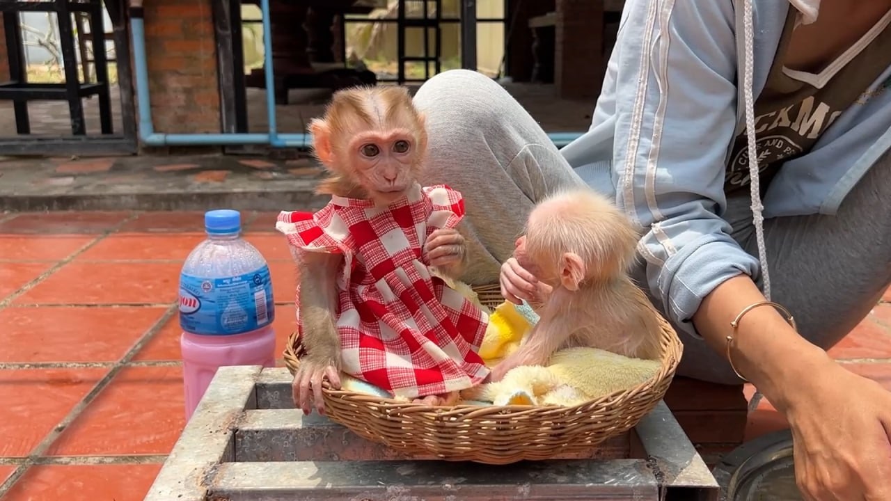 Beautiful Yuri & Little Minea Sitting On A Basket Just to Watch Mom Washing Her Clothes